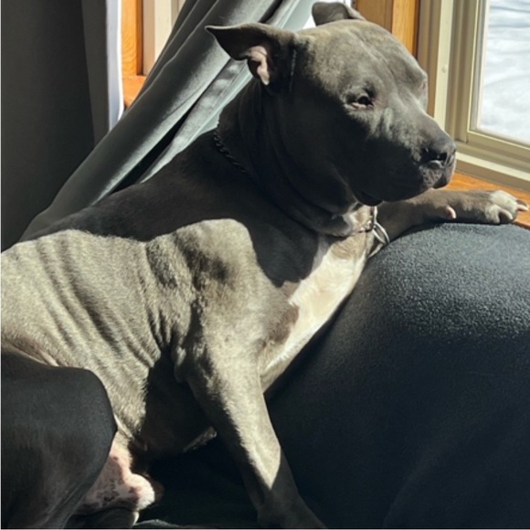 Meet your Posher, Tania - Picture 7 of 16